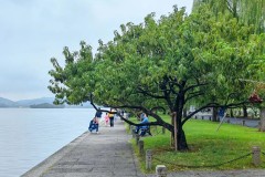 使用外籍裁判就能解决的事，被买买提江与顾春晗两个判罚改变