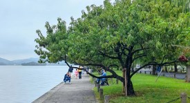 使用外籍裁判就能解决的事，被买买提江与顾春晗两个判罚改变